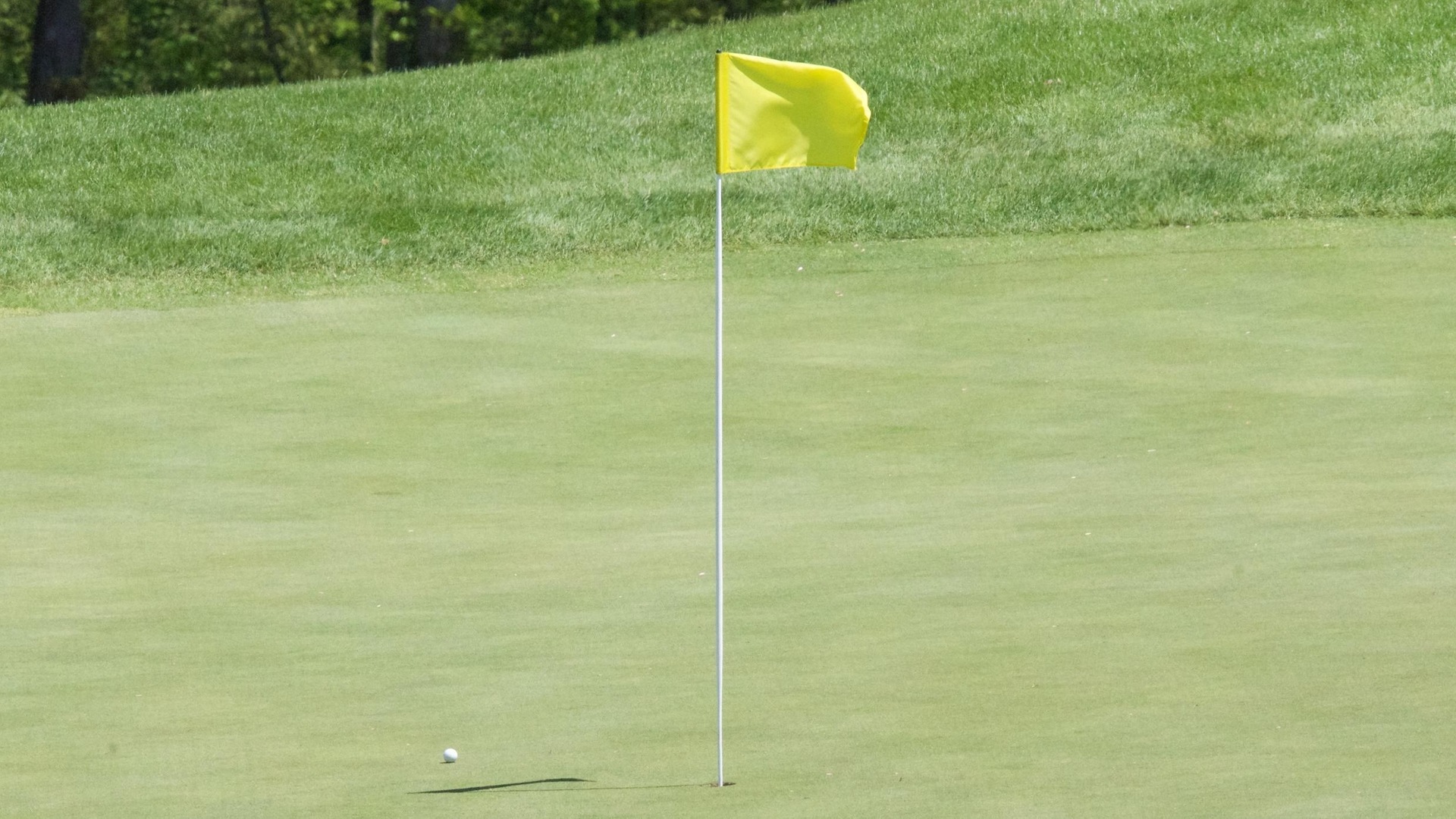 Cougars Tee Off on 2023 Season