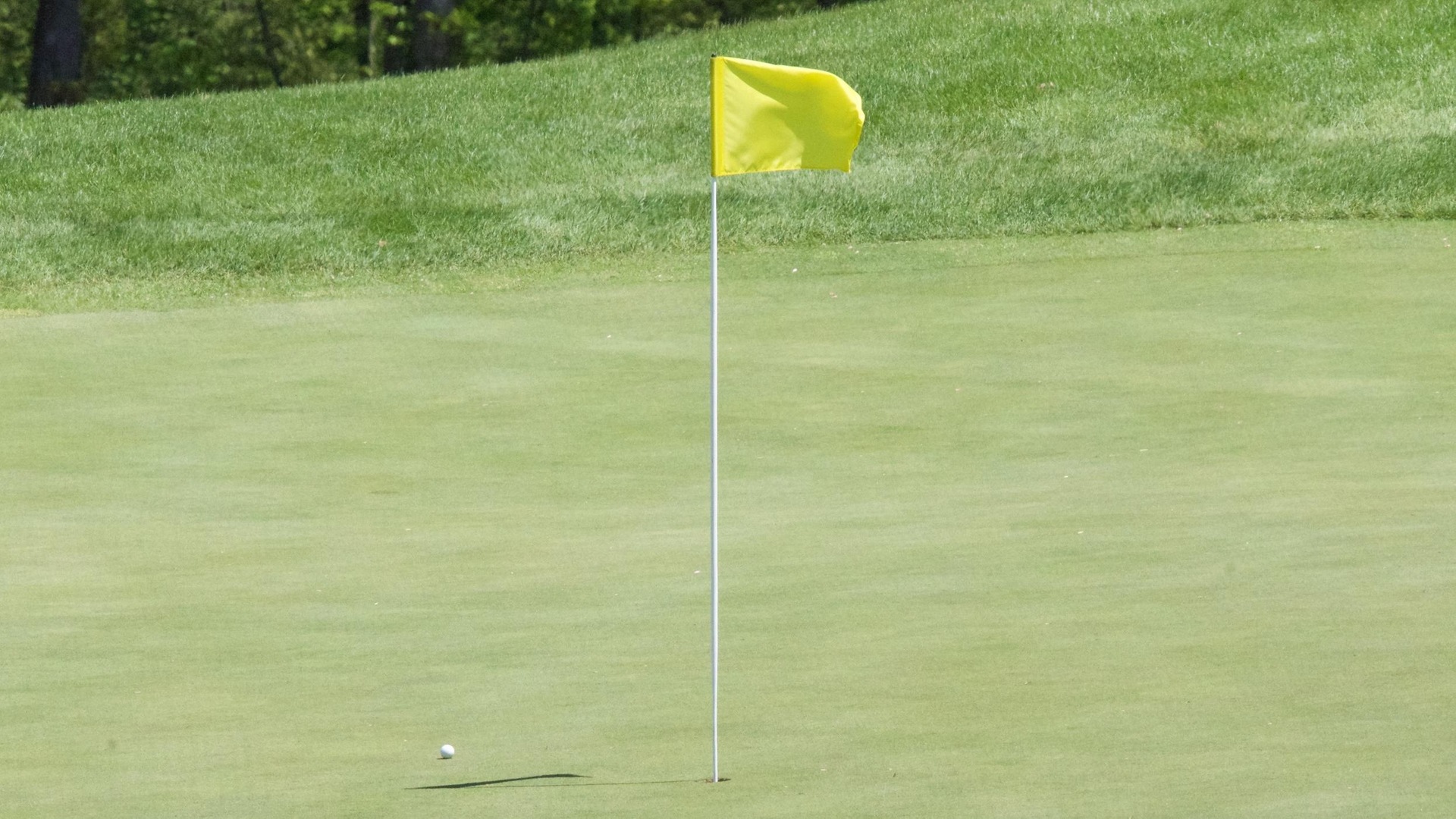 Cougar Golfers Enjoy Nationals