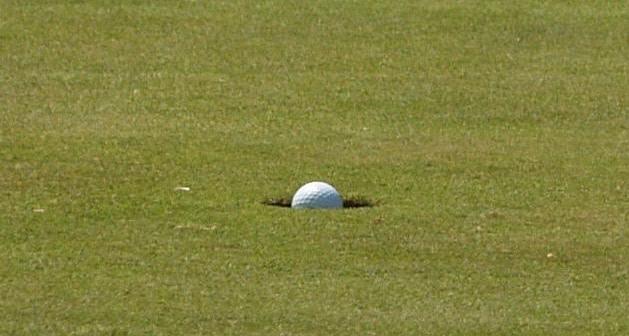 Cougar Golf Once Again Heading to Nationals