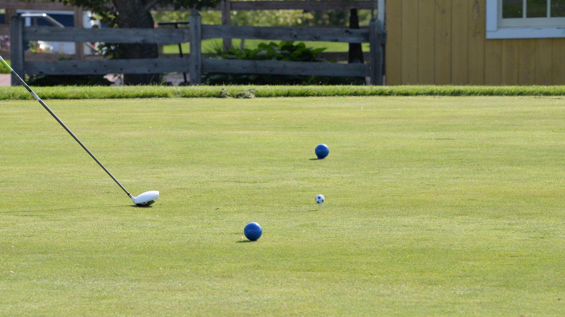 Cougar Golf Set to Tee Off