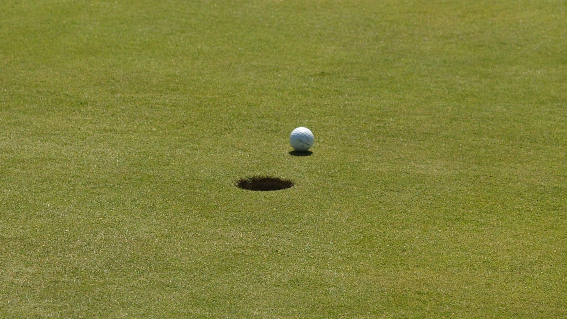 Cougar Golf Headed to National Tournament