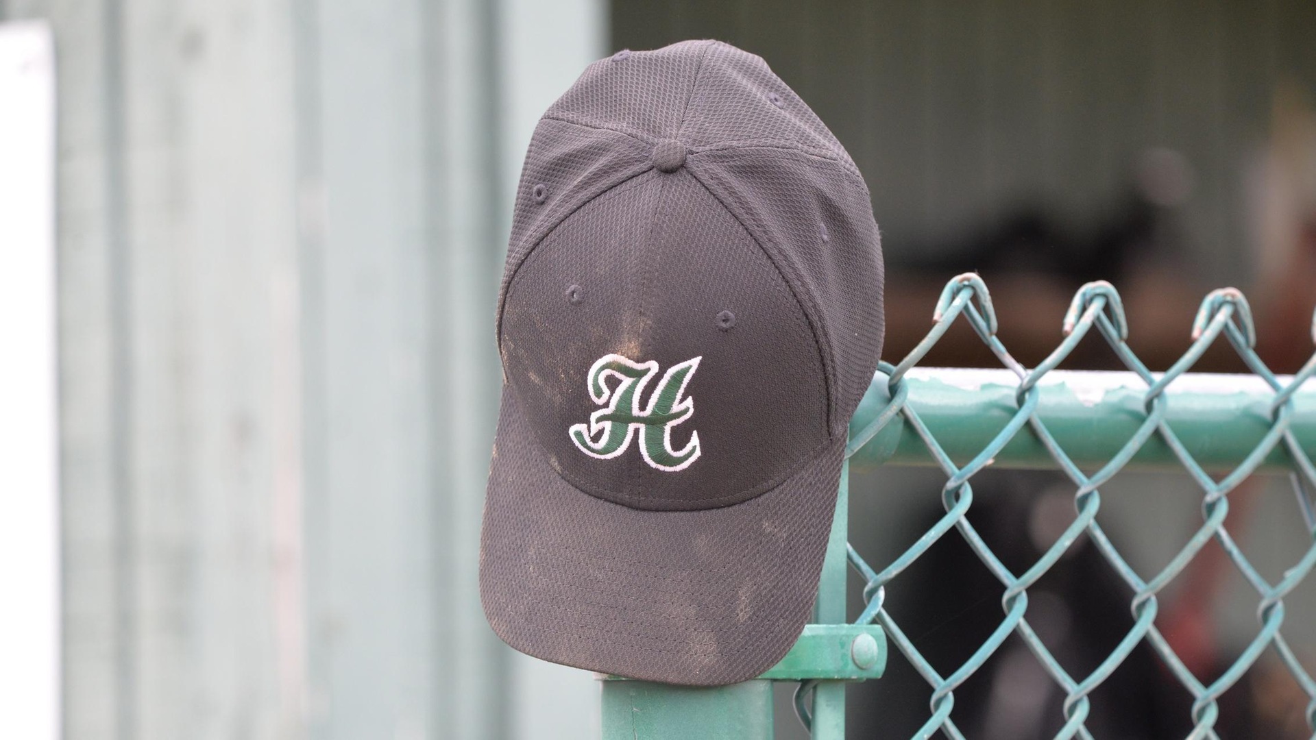Baseball Finishes Season with Home Doubleheader
