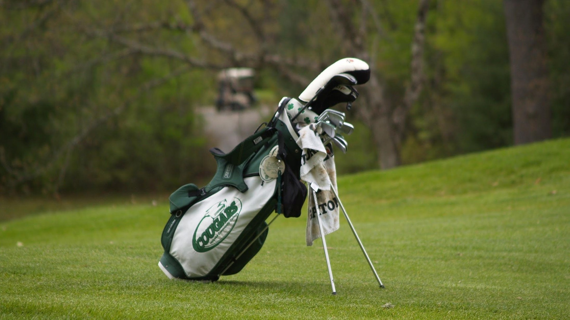 Cougar Golf Ready to Hit the Course