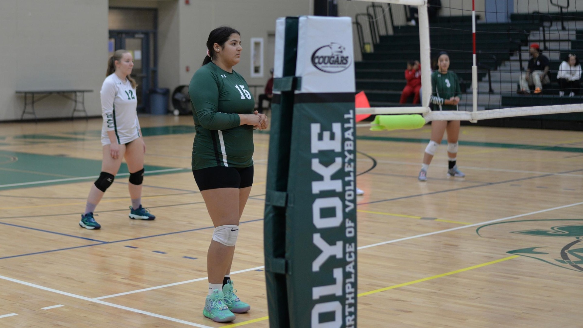 Volleyball Victorious in Regular Season Road Finale